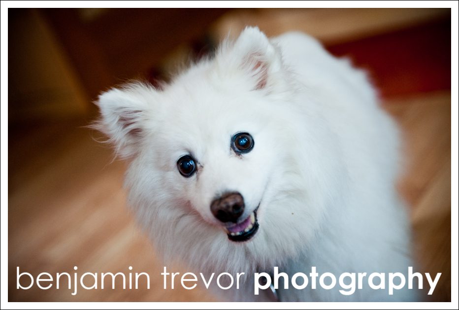 Benjamin Trevor Photography Benjamin Trevor Photography