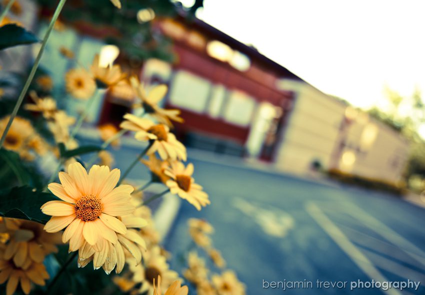 Benjamin Trevor Photography